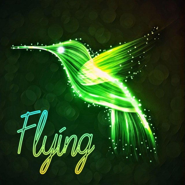 Flying cover art