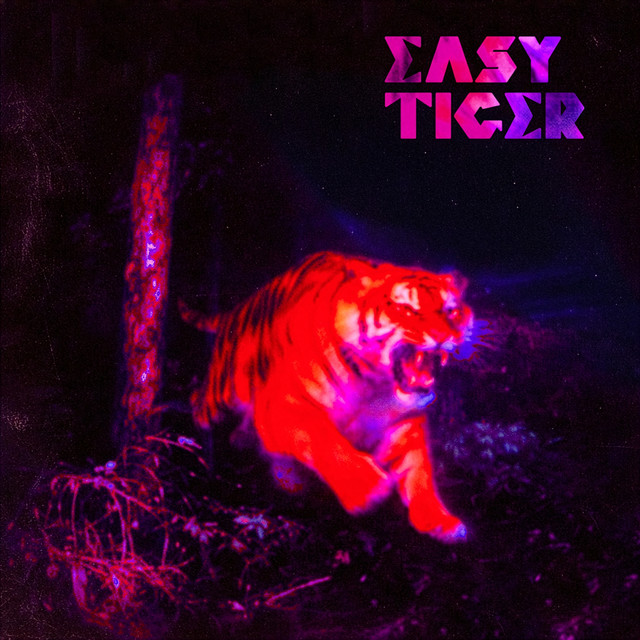 CAN'T STOP TALKING - Easy Tiger