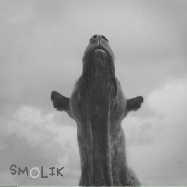 4 cover art