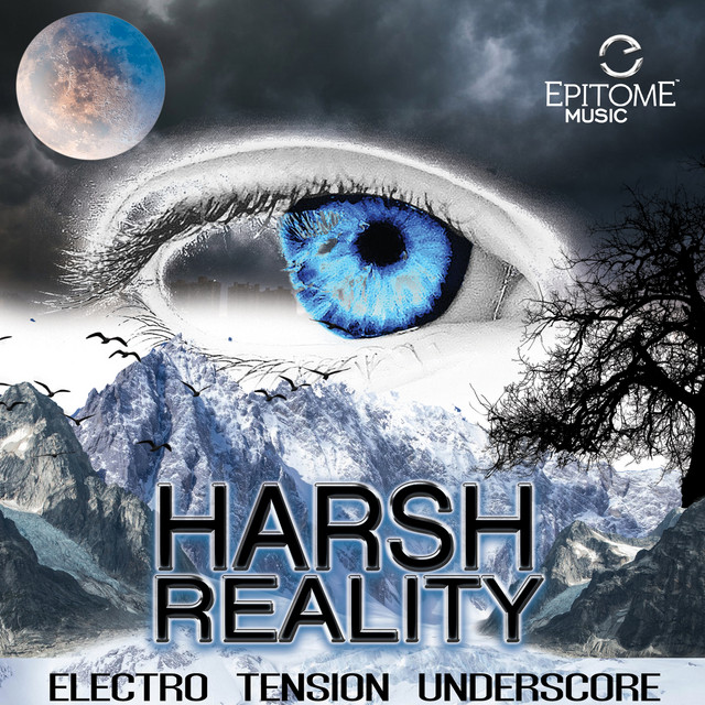 Harsh Reality cover