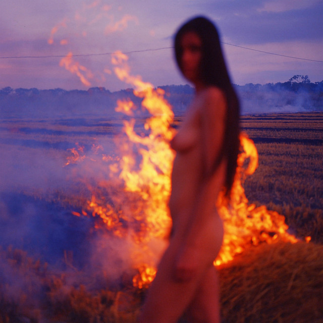Burning cover art