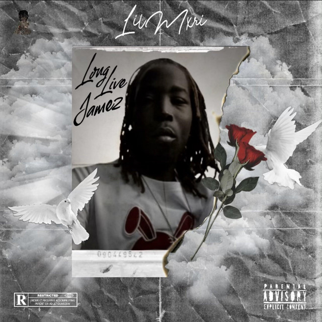 Long Live Jamez cover art