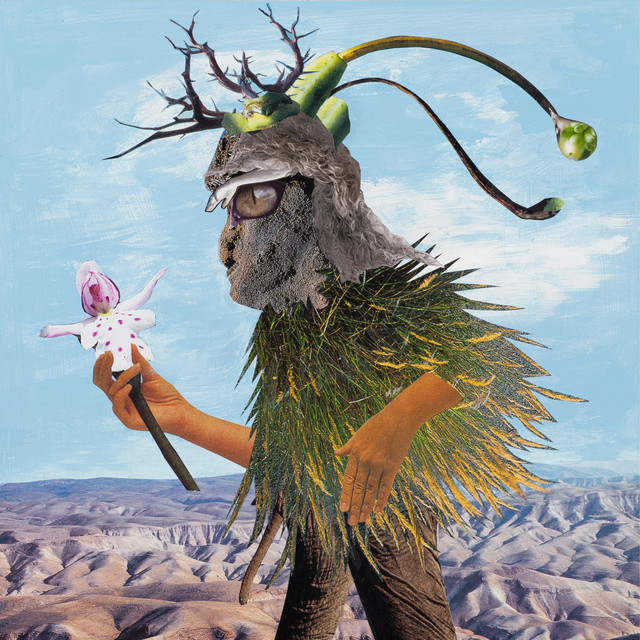 Finding the Oasis — cover art