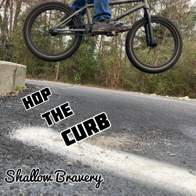 HOP THE CURB - Album by Shallow Bravery | Spotify
