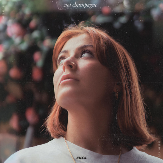 Not Champagne cover art