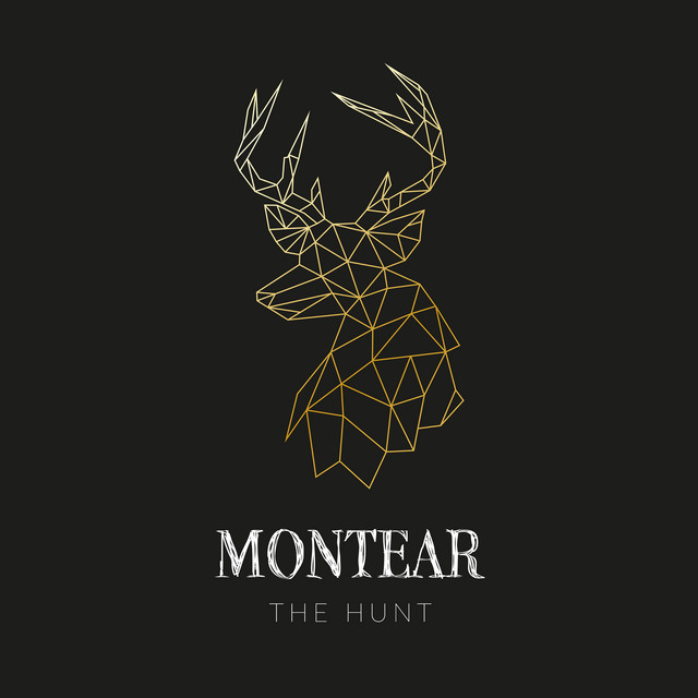 The Hunt cover art