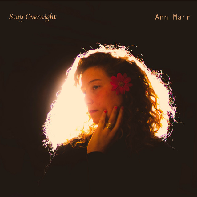 Stay Overnight cover art