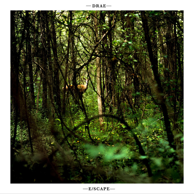 E/scape cover art