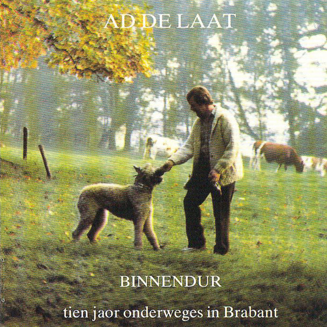 Binnendur cover art