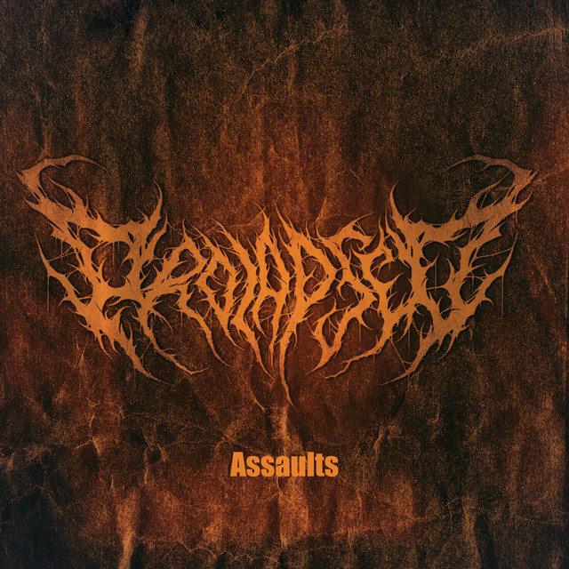 Assaults cover