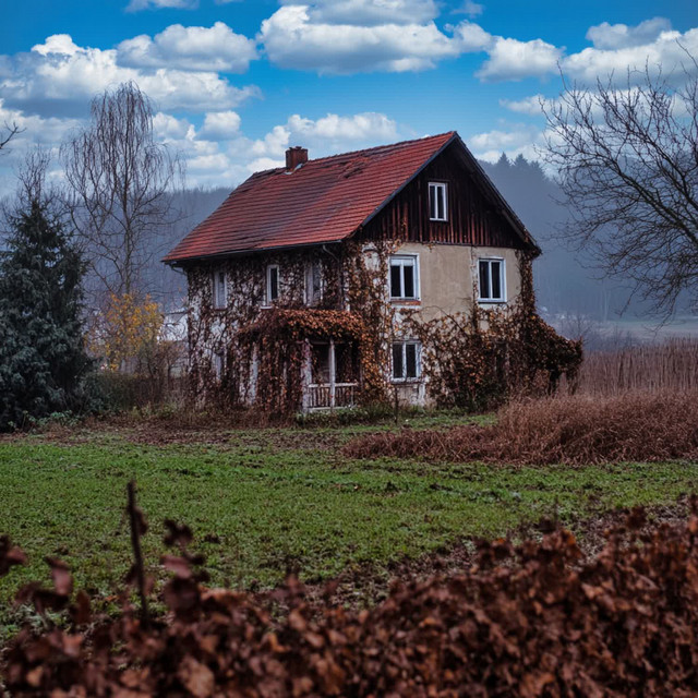 Martin K Friedrich