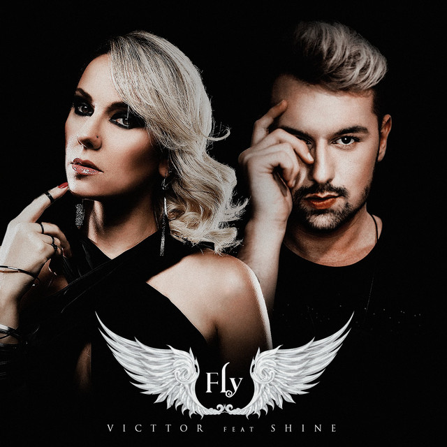 Fly cover art