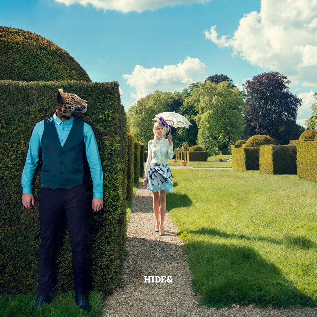Hide& cover art