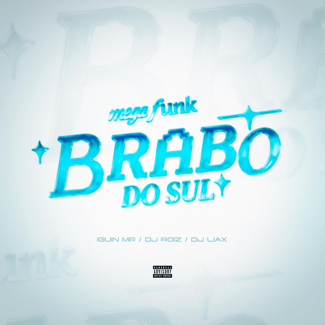MEGA FUNK BRABO DO SUL