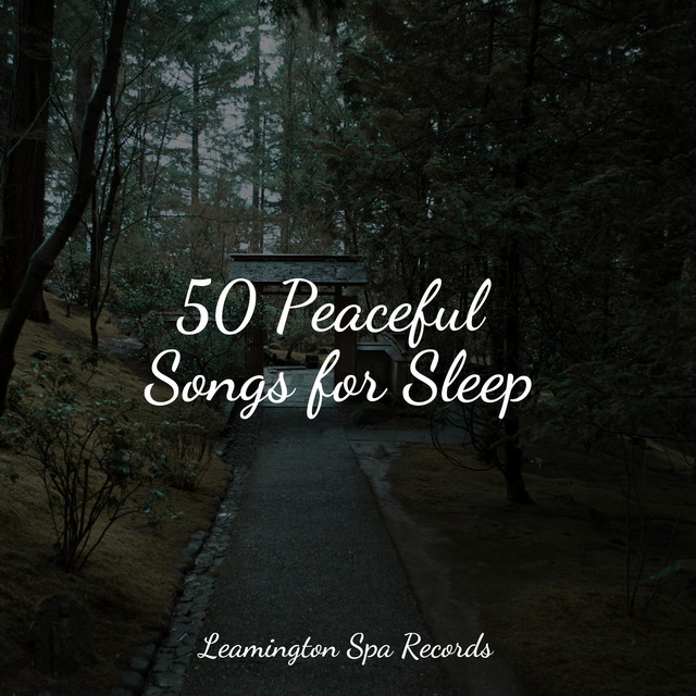 50 Peaceful Songs for Sleep - Album by Dr. Meditation | Spotify