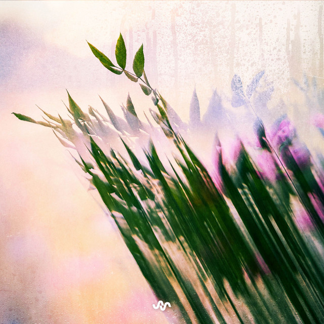 Fading in the Distance