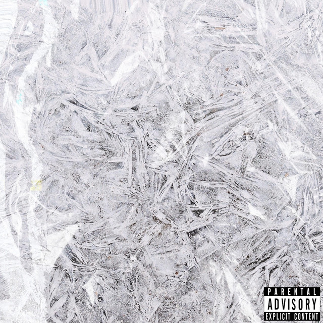 Settle cover art