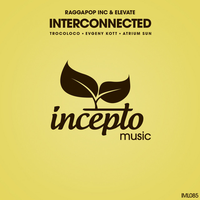 Interconnected - Evgeny KoTT Remix