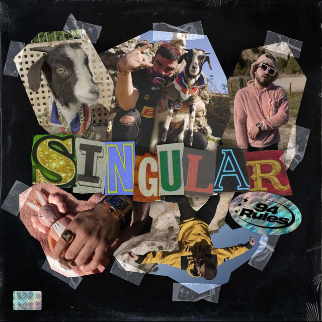 Singular cover art