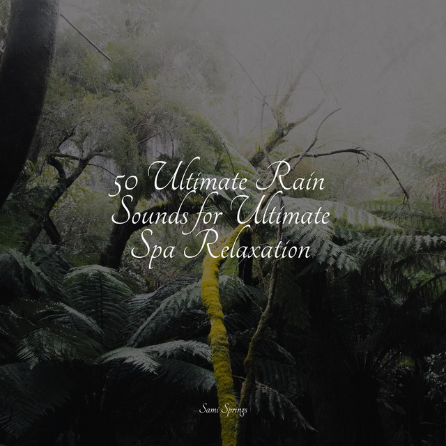 50 Ultimate Rain Sounds for Ultimate Spa Relaxation - Album by Rainfall ...