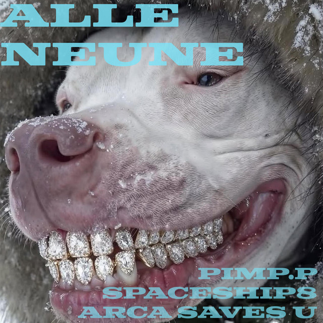 ALLE NEUNE cover