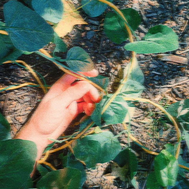 GREEN cover art