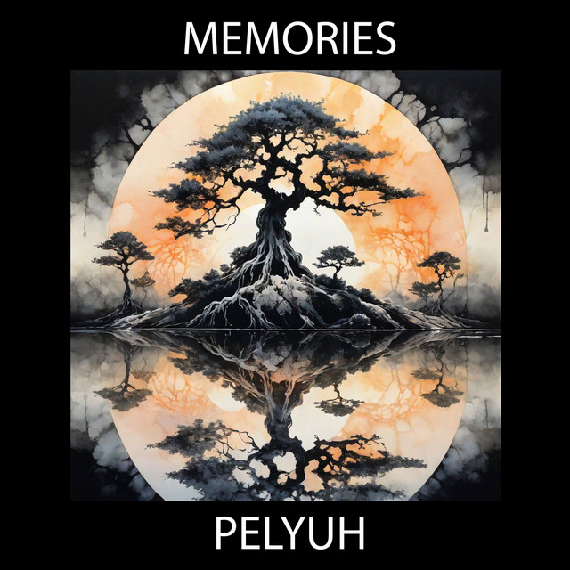 Обкладинка: Memories — PELYUH