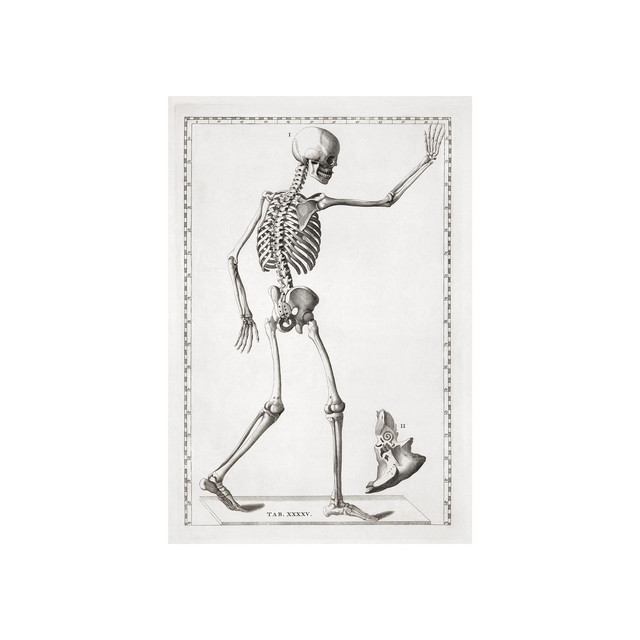 Memento Mori cover art