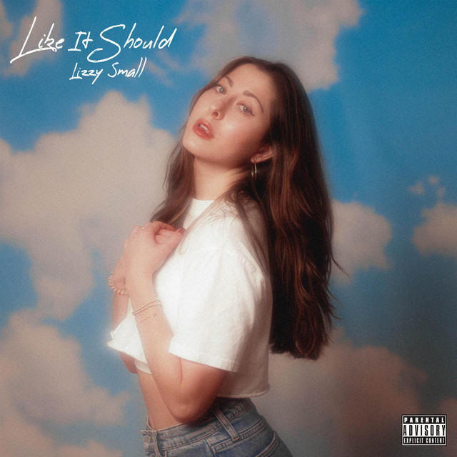 Cover of Like It Should by Lizzy Small