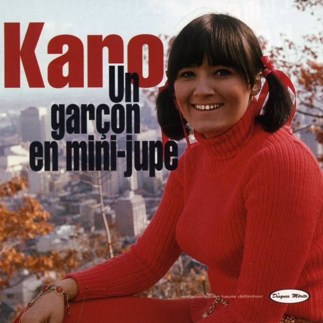 Un garçon en mini-jupe cover art