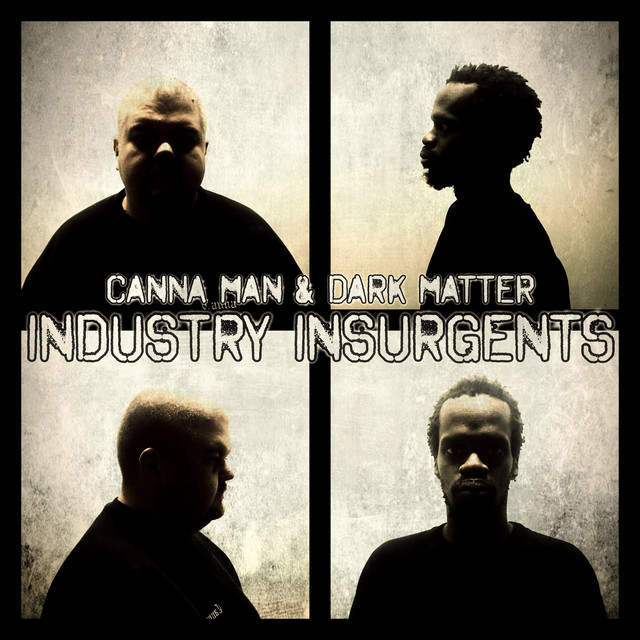 Industry Insurgents cover art