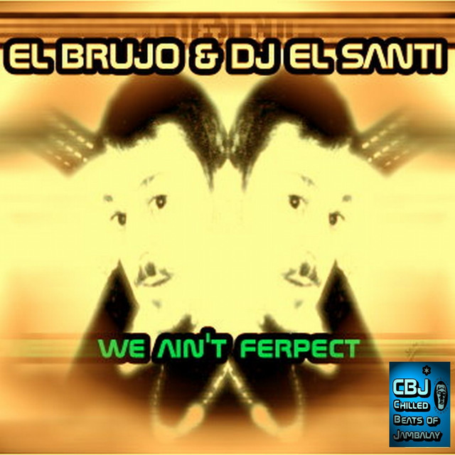 We Ain't Ferpect cover art