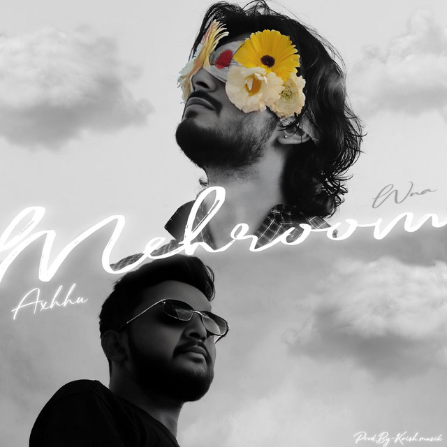 Mehroom