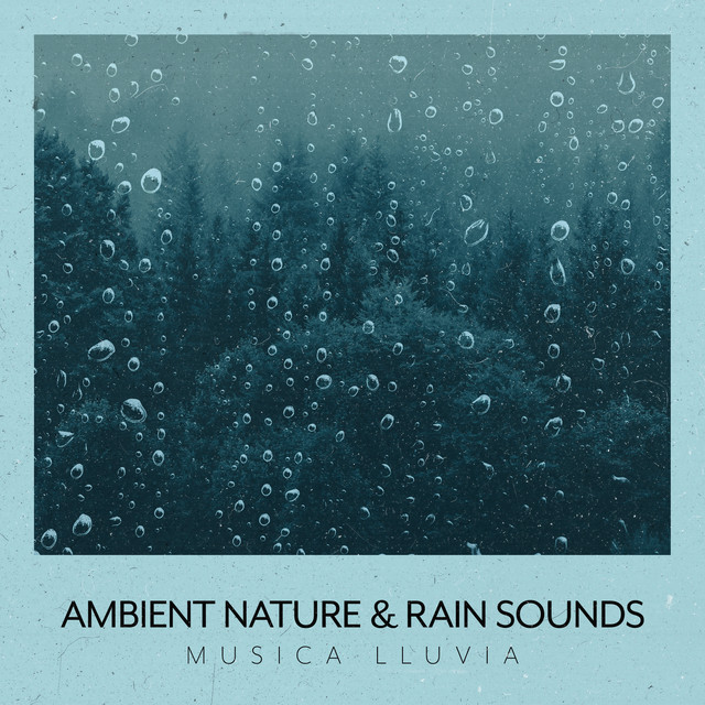 Ambient Nature & Rain Sounds - Album by Musica Lluvia | Spotify