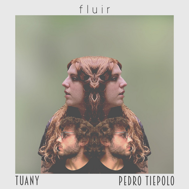 Fluir cover art