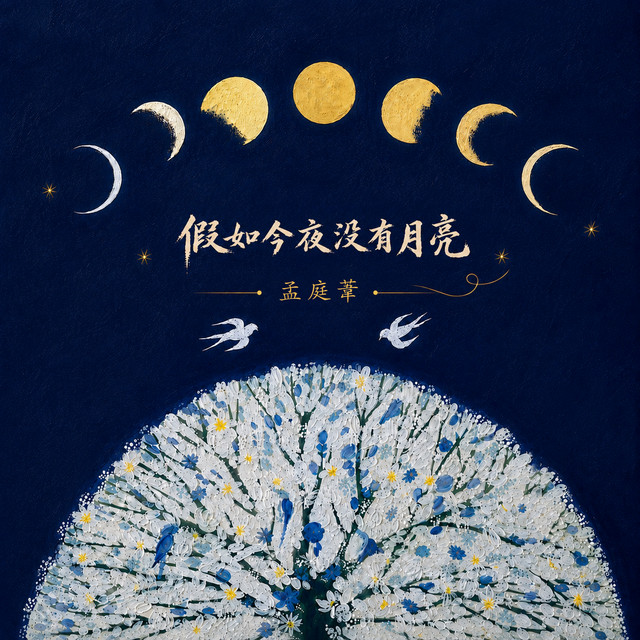 假如今夜没有月亮 cover