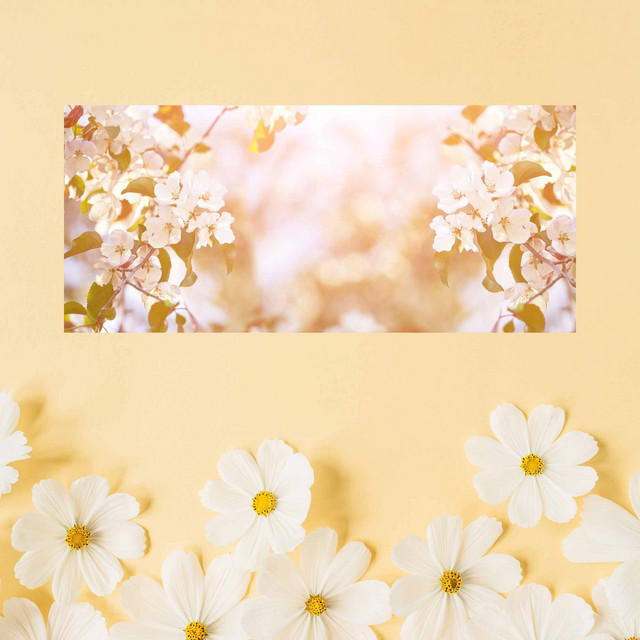 Sunny Background Music for Ambient Autums cover art