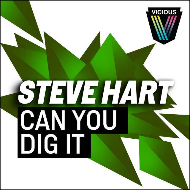 Can You Dig It - Loutaa Remix cover art