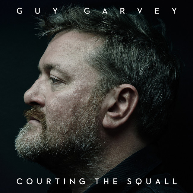 Courting The Squall cover art
