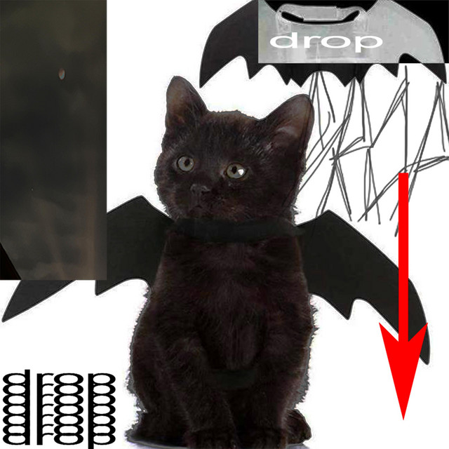drop cover art
