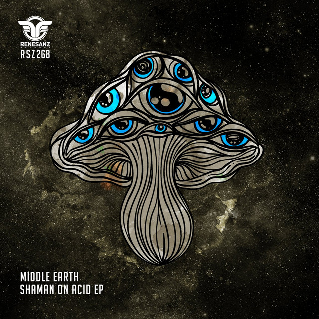 Shaman On Acid album art