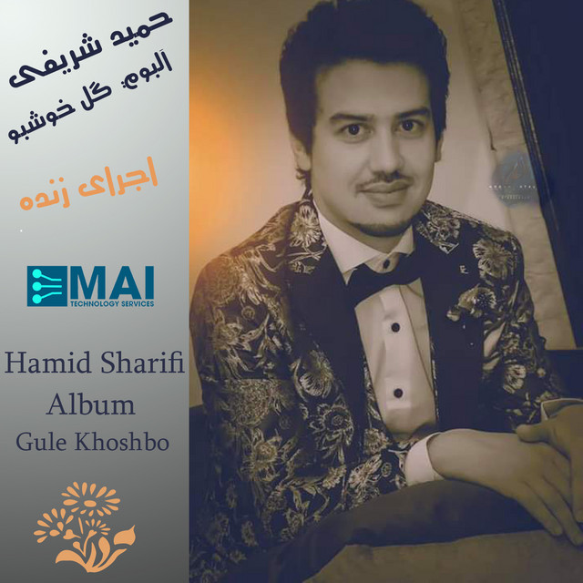 Remix - Live - song and lyrics by Hamid Sharifi | Spotify