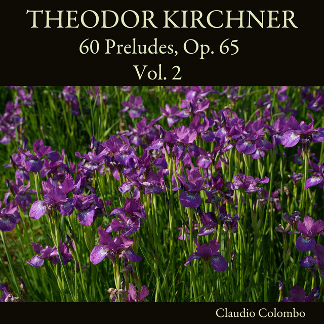 Theodor Kirchner: 60 Preludes, Op. 65, Vol. 2 cover art