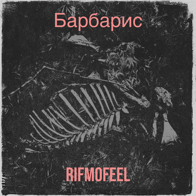 Обкладинка rifmofeel — Барбарис