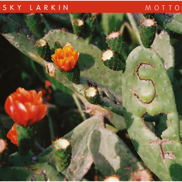 Motto cover art