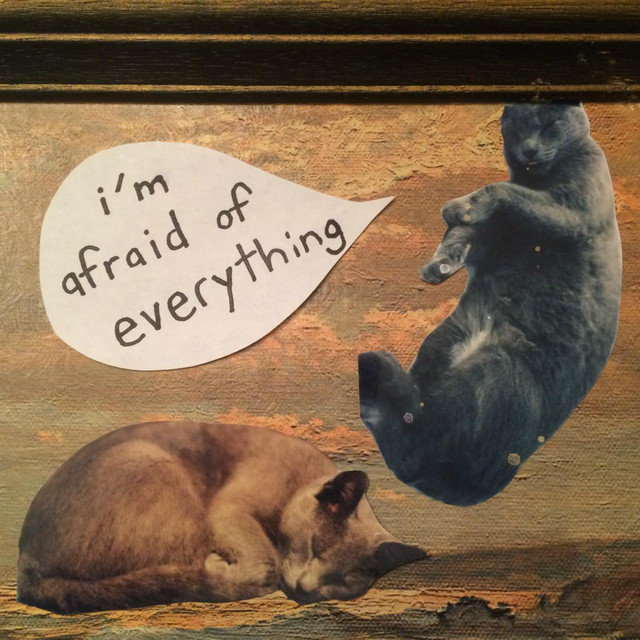 I'm Afraid of Everything cover art
