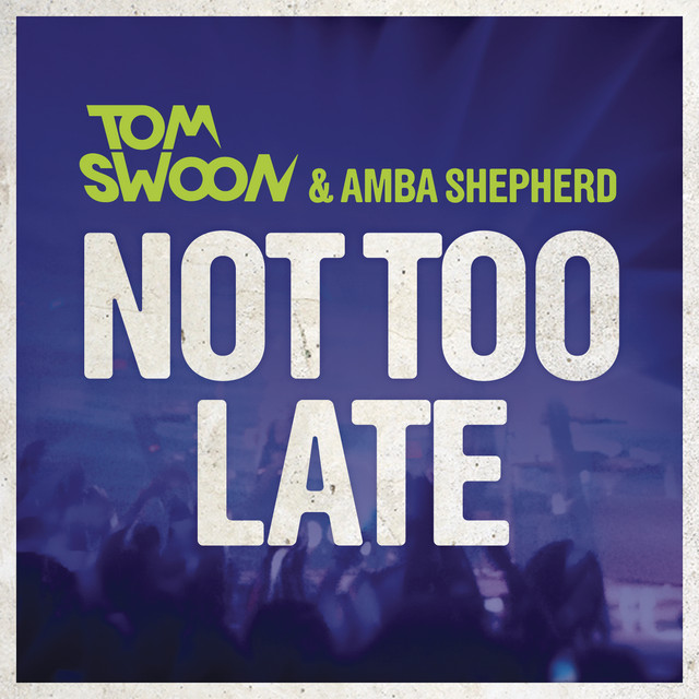 Not Too Late album art