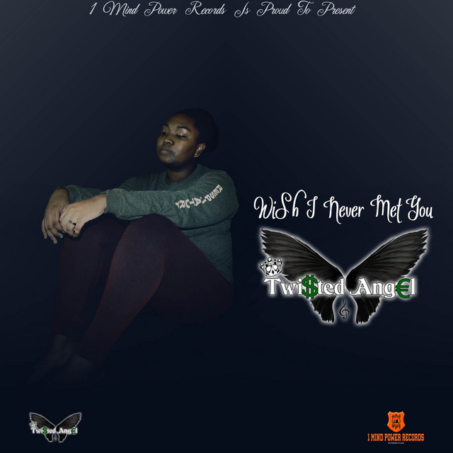 Wish I Never Met You cover