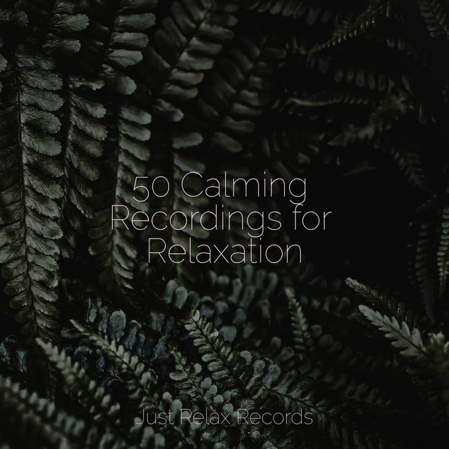 50 Calming Recordings for Relaxation - Album by Yoga Sounds | Spotify