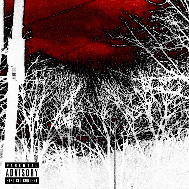 Live From The Swamp Circus cover art